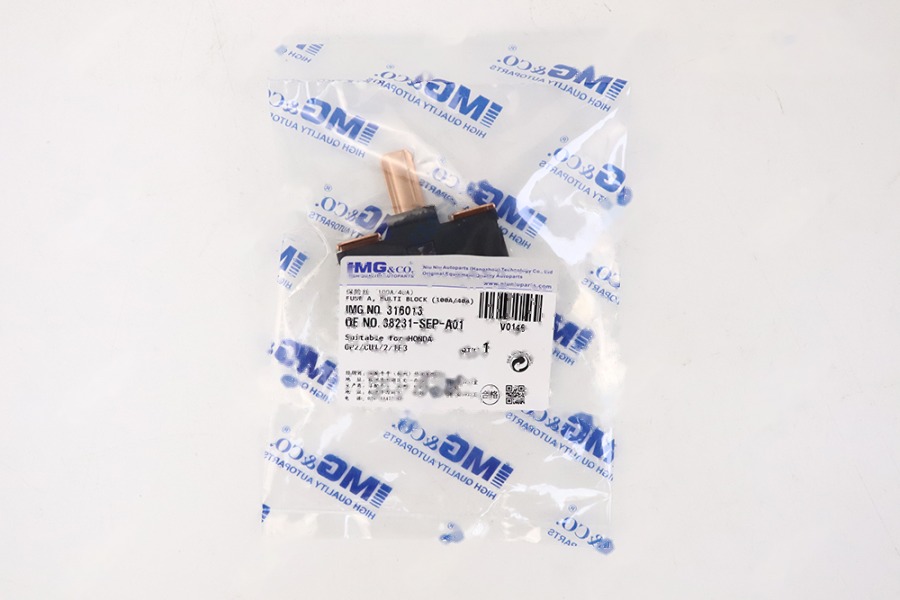 保险丝 (100A/40A） 38231-SEP-A01